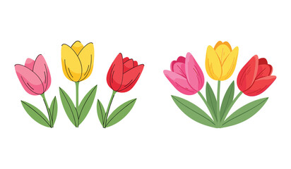 Pink yellow and red tulips with green leaves on white background flower spring