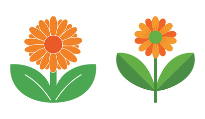 Two orange flowers with green leaves and stems on white background leaf