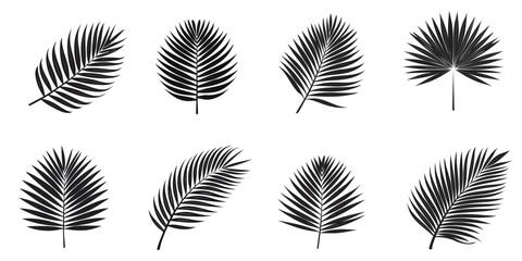 Collection of palm tree lives black silhouettes. Vector illustration.