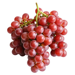 Fototapeta premium Vibrant bunch of ripe red grapes hangs fresh and juicy on a clean white background