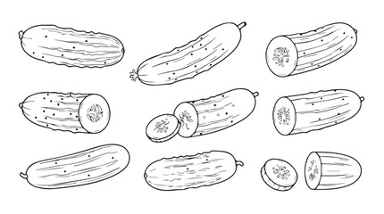 Fresh cucumber variety hand drawn sketch collection healthy organic vegetable food illustration silhouette