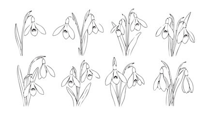 Delicate floral line art collection elegant botanical sketches for artistic projects silhouette