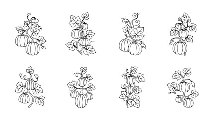 Delicate sketchy botanical bouquets floral arrangements hand drawn elegant line art collection silhouette