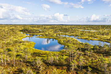 Aerial View of Bog Lakes and Boreal Wetland Forest with Reflections and Clouds. Kemeri Bog, Latvia