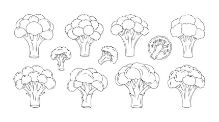 Collection of hand-drawn broccoli florets and stems in sketch style for healthy food designs silhouette