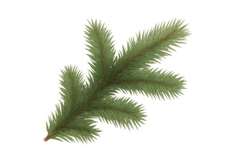 Pine branch with green needles, celebrating christmas, winter, and nature concepts, isolated on transparent background