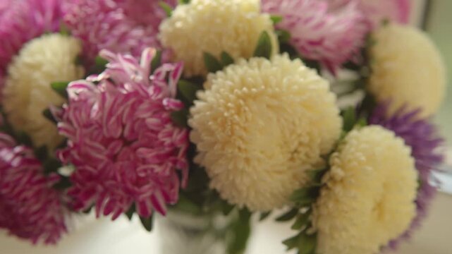 Close-up of a bouquet of pink and white asters