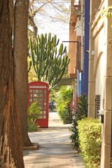 City street sidewalk with tropical vegetation and London-style telephone booth decor. Street of Santo Andre city, Brazil