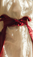 Close-up of Ukrainian traditional costume embroidered vyshyvanka blouse, woven belt kraika, folk jewelry. Ethnic festive clothing, national outfit details, cultural heritage. Part of the series