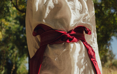 Close-up of Ukrainian traditional costume embroidered vyshyvanka blouse, woven belt kraika, folk jewelry. Ethnic festive clothing, national outfit details, cultural heritage. Part of the series