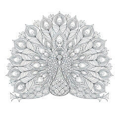 Ornate Peacock Vector Illustration with Decorative Feather Elements and Line Art Style