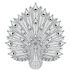 Detailed Peacock Vector Illustration with Feather Elements in Monochrome Line Art Style