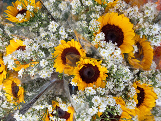 Beauitful Flowers pattern for nature background.