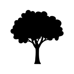 A Black Silhouette of a Deciduous Tree with Full Round Canopy