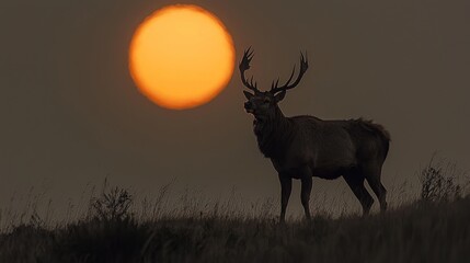 Majestic stag silhouette against a vibrant sunset backdrop, natures beauty.