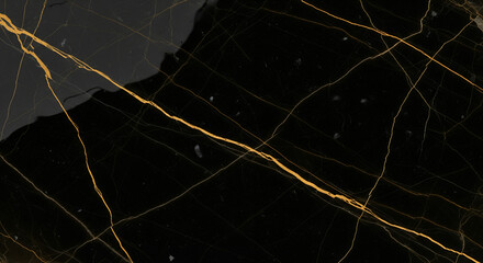 Close-up view of a black marble surface with golden veins and intricate patterns.