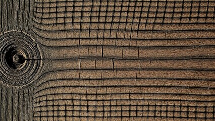 Fototapeta premium Close-up of weathered wood texture, accentuated by directional light and fine details.