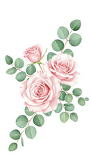 Delicate Pink Roses and Eucalyptus Watercolor