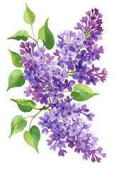 Watercolor Lilac Bouquet: Elegant Spring Flowers