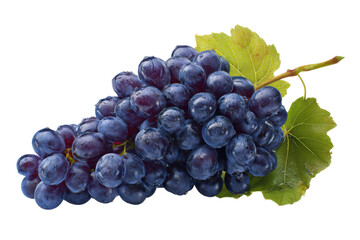 Fototapeta premium bunch of grapes isolated on white