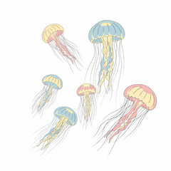 Colorful Jellyfish Illustration.