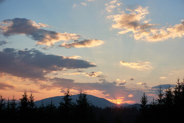 Serene evening sky with hues of blue and soft pink clouds as sun sets. Horizon glows gently, casting light over silhouetted pine trees and rolling hills, creating peaceful and expansive landscape.