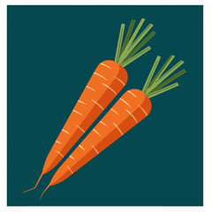 Two illustrated carrots with green tops on a dark teal background vector illustration