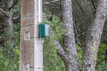 Green electrical junction box attached to a concrete pole in a forest