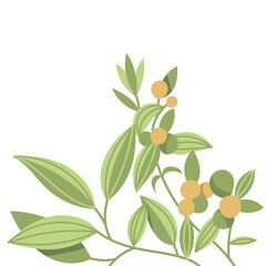 Stylized Branch with Green Leaves and Yellow Berries Illustration.