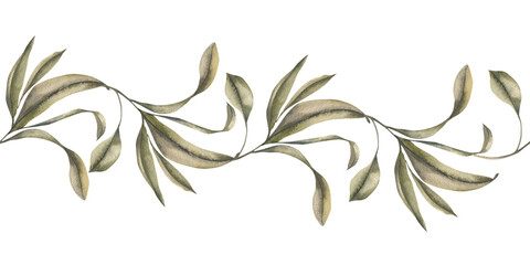 Floral elegant seamless border with tropical exotic leaves watercolor illustration. Hand drawn botanical motifs with eucalyptus branches for romantic textile, fabric, wallpaper design © Evgeniya