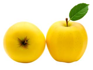 Two yellow apples isolated on transparent background