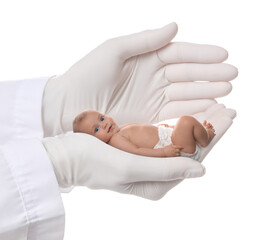 In vitro fertilization (IVF). Doctor holding little baby in hand against white background