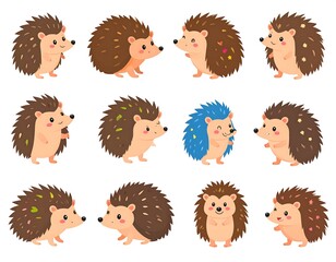 Cute hedgehog characters in various poses