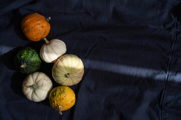 Decorative pumpkins on black fabric background with ray of light, autumn aesthetic minimalism
