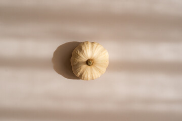 Small decorative pumpkin on beige background, soft shadows, minimal top view aesthetic