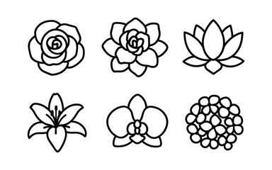 Elegant floral collection for design projects