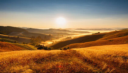 Misty Sunrise Action Rolling Hills Landscape Nature Photography Peaceful Environment Scenic Viewpoint Golden Grass Field