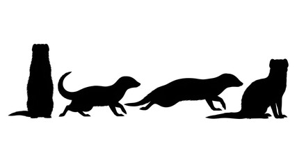 Silhouette of a group of meerkats in various poses isolated on white background
