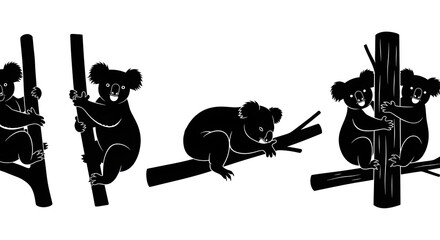 Silhouettes of koalas climbing and sitting isolated on white background