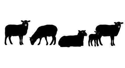 Silhouette of a flock of sheep isolated on white background in black