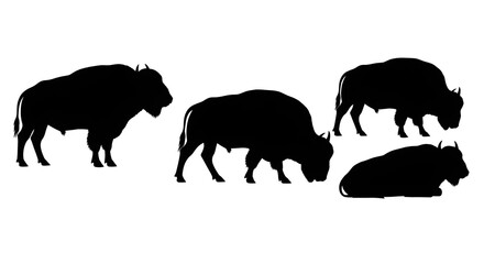 Silhouette of four buffalos isolated on white background in different poses