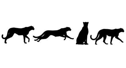 Silhouetted cheetahs isolated on white background in various stances and poses