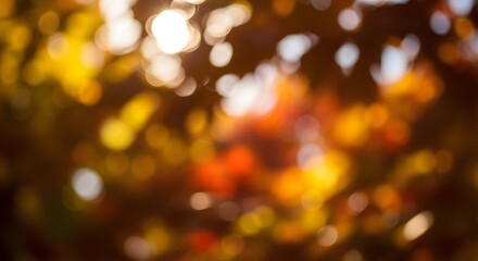 Beautiful golden hour light shines through the out-of-focus foliage, creating a warm and stunning natural bokeh effect for a perfect autumn background