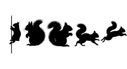 Silhouette of five squirrels in various poses isolated on white background