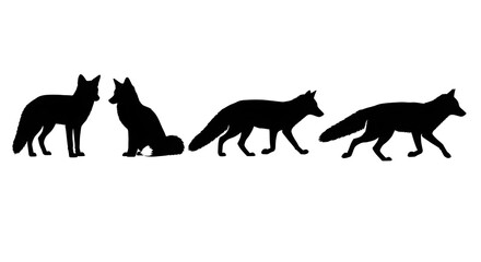 Silhouette of foxes in various poses isolated on white background