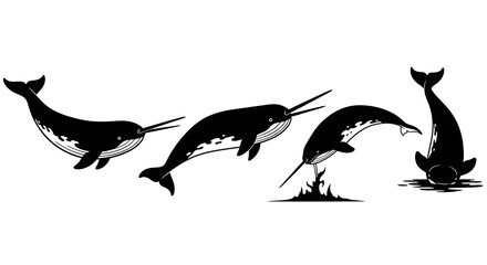 Narwhal silhouettes isolated on white background in various poses in black