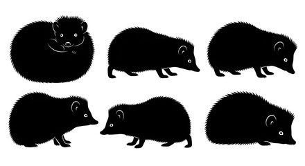 Silhouettes of hedgehogs in various poses isolated on white background