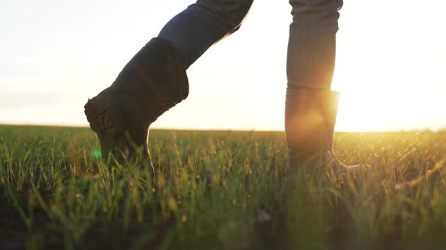 Walking boot through green grass field at warm sunset with golden sunlight, solitary leg stepping through young crop, rubber boot leaving print in soil, rural farmer presence near distant horizon