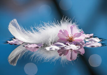 Soft feather and delicate flower floating gently on calm water surface