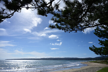 海岸の景色